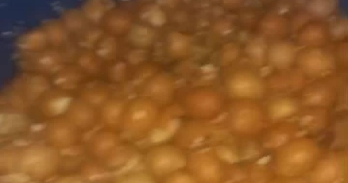 Marak Pengusaha Produksi Pakan Ikan Tanpa Ijin di Desa Cogreg Kec. Parung Cemari Lingkungan?