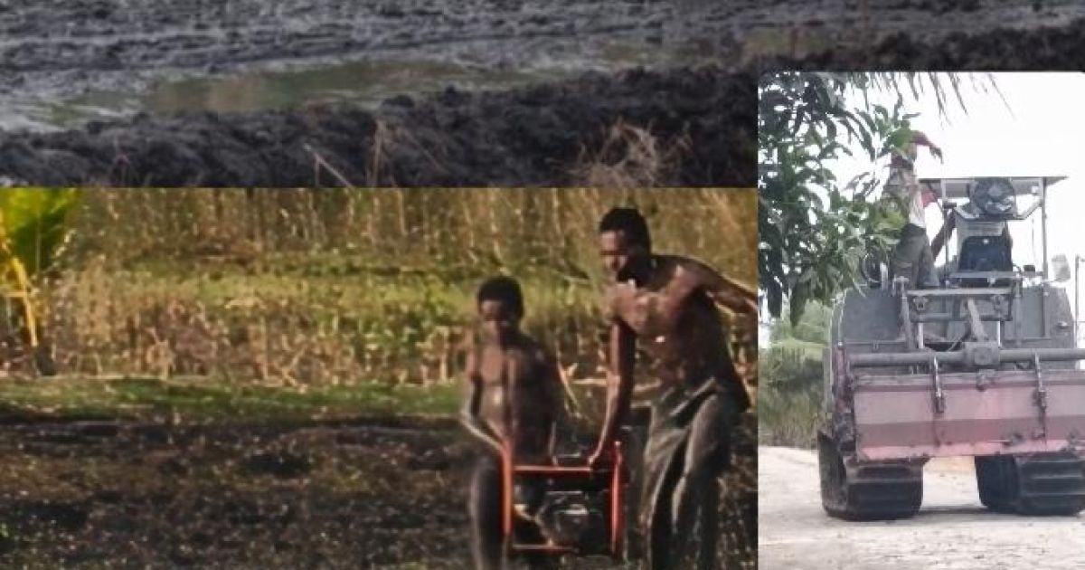 Generasi Muda Marind Mulai Kembangkan Pertanian Padi di Wasur Merauke Papua