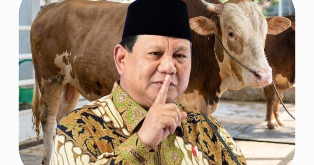 Rakyat Indonesia Kurban 1098 Sapi Untuk Prabowo?