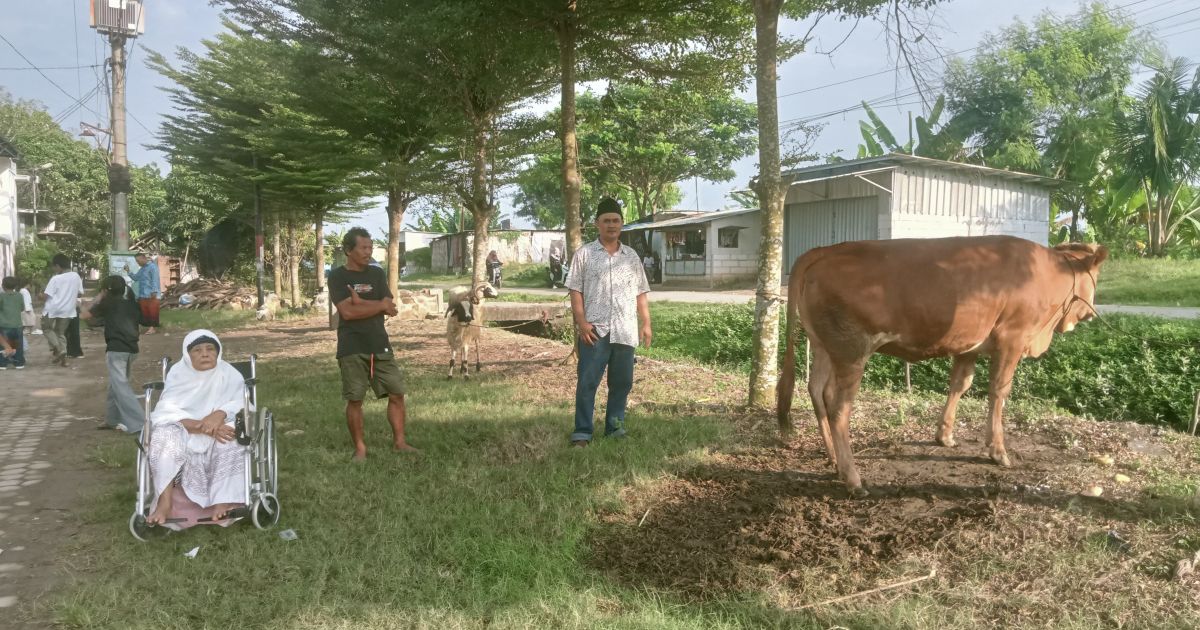 Keluarga Almarhum Madkasan Melaksanakan Hewan Kurban Sapi Dengan Ikhlas Mengikuti Jejak Nabi Ibrahim dan Ismail