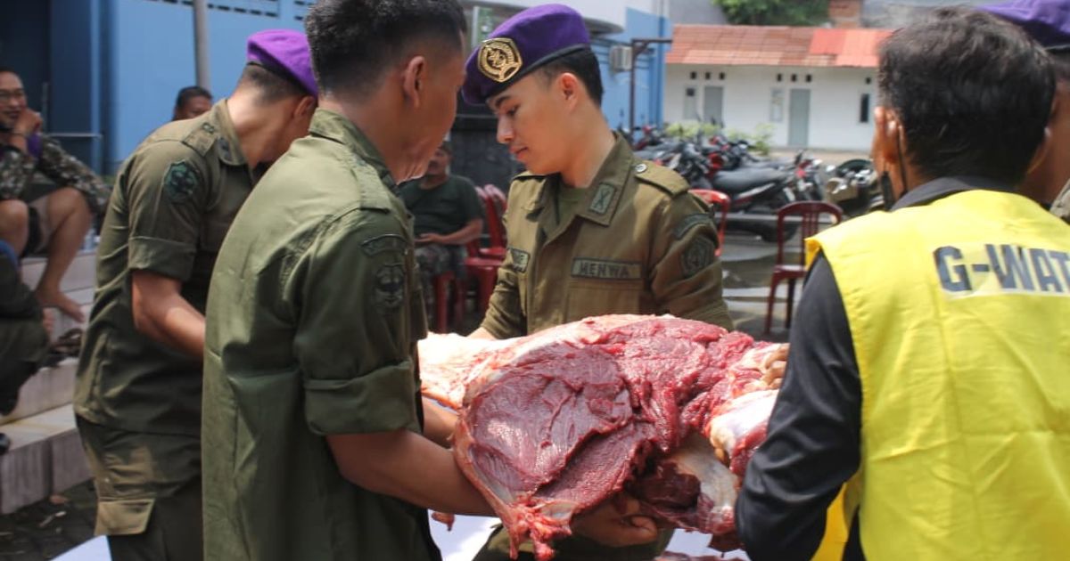 Aksi Nyata Idul Adha 1447 H: Menwa Jayakarta Bersama Sahabat Rizky Irmansyah Gelar Kurban Sapi Ekstrem 1 Ton
