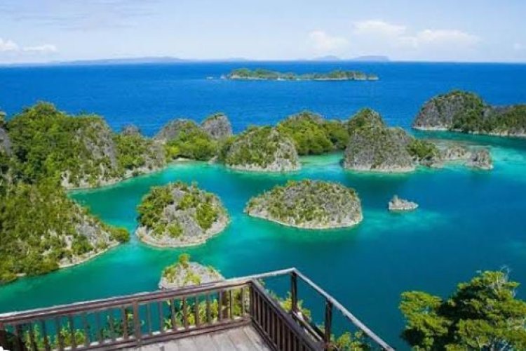 *Perusak Lingkungan Wajib Diperiksa Dokter Jiwa dan KPK?*