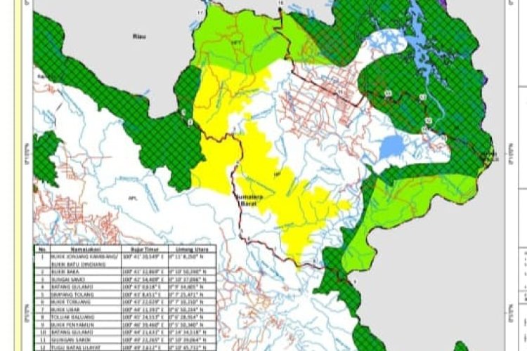 Diduga Hutan di Sumbar Riau Gundul dan Diperjual Belikan, Masuk Kawasan Lindung